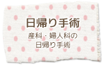 日帰り手術 産科・婦人科の日帰り手術